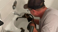 Residential Plumbing