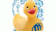 Maeser Master Services - Middletown