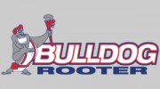 Bulldog Rooter